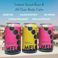 Unlocking a Stress-Free Life: How Melo Helps You Manage Daily Overwhelm