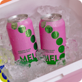 2 cans of melo sitting in an esky full of ice